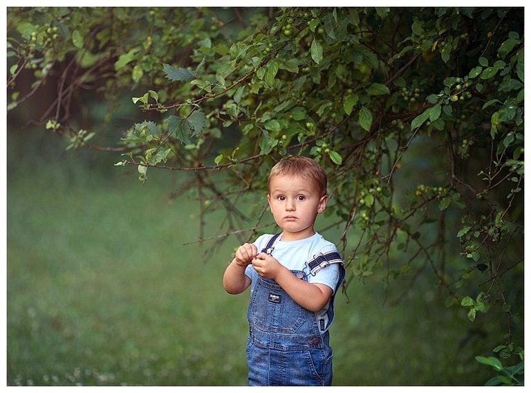 Collage of family pictures from an outdoor photography session.