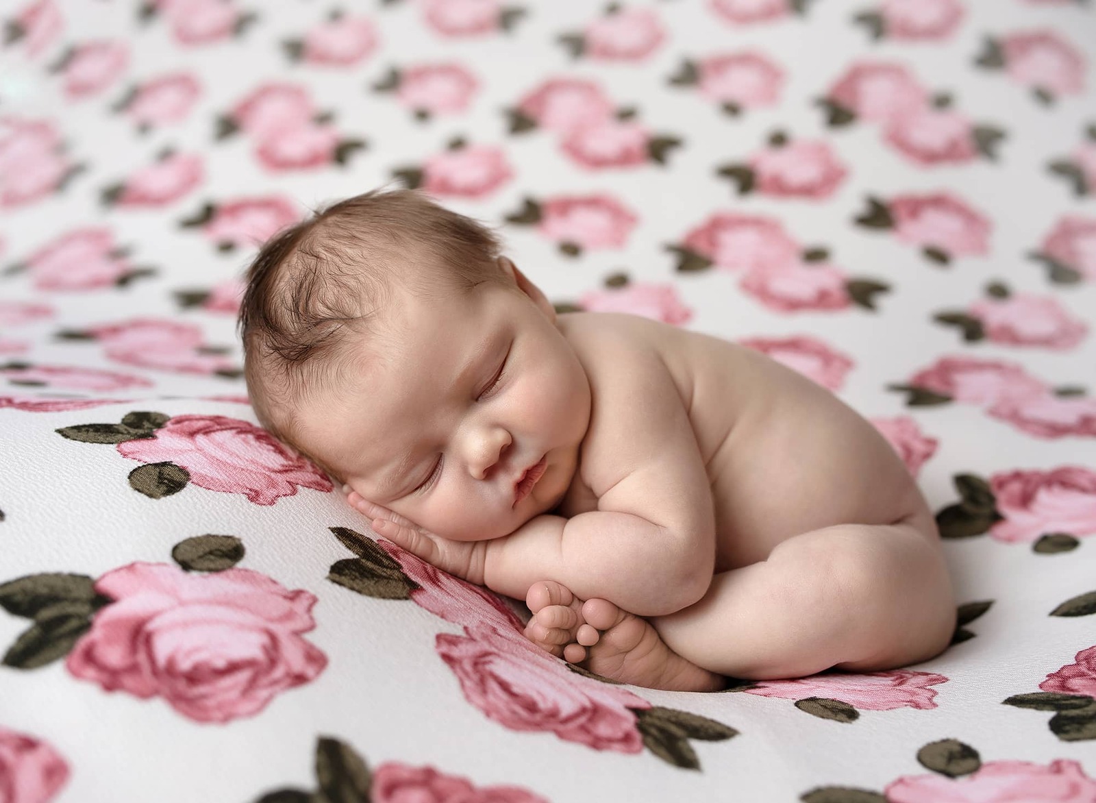 Baby girl newborn portrait on a floral backdrop in the studio in Avon Lake, OH.